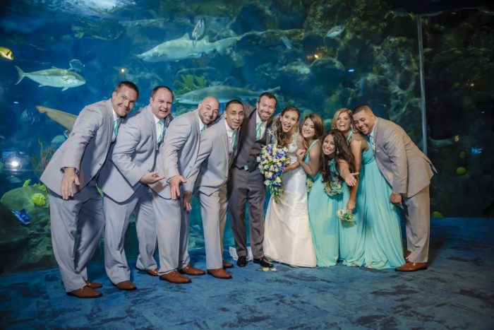Wedding at Fl Aquarium