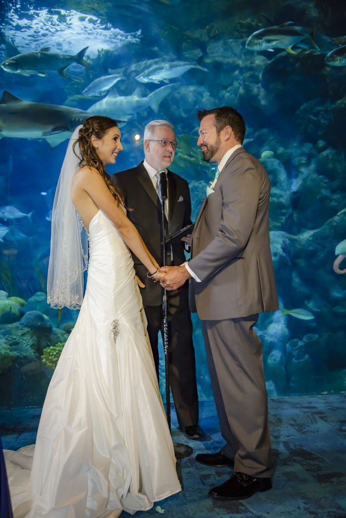 Florida Aquarium Weddings